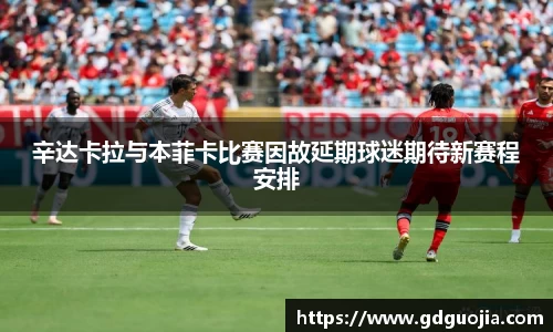 辛达卡拉与本菲卡比赛因故延期球迷期待新赛程安排